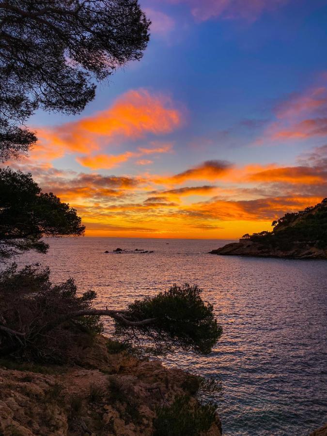 Appartement Au Calme, Calanque Des Figuieres Ensues-la-Redonne Exteriér fotografie